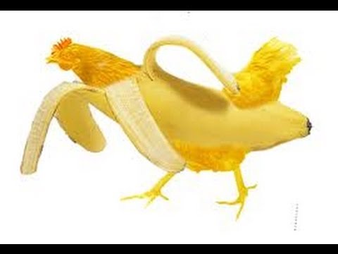 kurczak bananowy